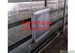 养鸡水暖锅炉 养殖专用水暖锅炉高清图片 高清大图